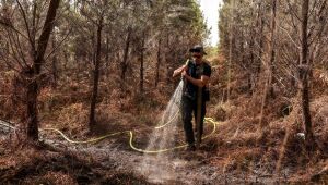 Bombeiros franceses continuam combate a incêndios à espera de chuvas