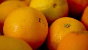 ApexBrasil qualificará produtores e empresas para exportar frutas