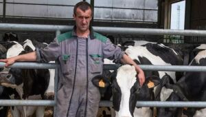 Pecuarista diz que antena de 4G causou mortes de 50 vacas e desliga equipamento em cidade francesa
