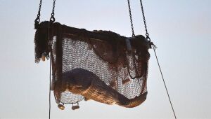 Beluga perdida no rio Sena morre durante tentativa de resgate