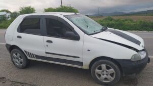 Homem sem CNH mata pedestre atropelado na BR-232, em Belo Jardim