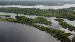 Mudanças climáticas na Amazônia causam reflexos no Tibete