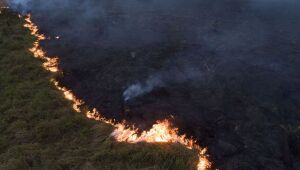 Na Amazônia, 38% da floresta que sobreviveu ao desmatamento está sujeita à degradação