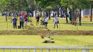 De carro, ônibus e bicicleta, apoiadores de Lula chegam a Brasília para a posse