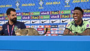 Gato que apareceu em entrevista de Vini Jr. vira mascote da seleção e recebe nome de "Hexa"