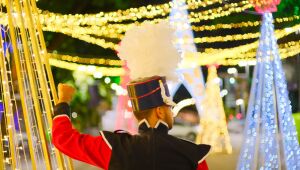 Luzes e cores formam a decoração natalina do Bairro do Recife; programação se inicia esta semana 