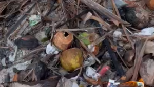 Frequentadores reclamam de lixo espalhado na praia de Mangue Seco, em Igarassu