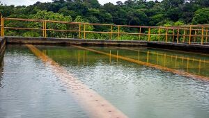 Jaboatão e Cabo ficam sem receber água por dez horas nesta quinta (19); saiba os bairros afetados