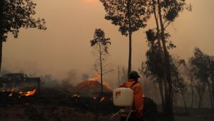 Incêndios no sul do Chile deixam mais de 20 mortos e centenas de casas destruídas