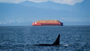 Canadá não autorizará exploração do fundo do mar sem regulamentação "rigorosa"