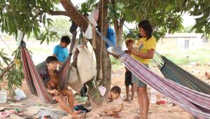 Grupo yanomami vive às margens da BR-174 em Boa Vista