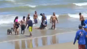 Vídeo mostra momento em que nova vítima de incidente com tubarão sai do mar em Piedade