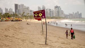 Um dia após incidente com tubarão, praia de Piedade tem pouco movimento e ações de segurança