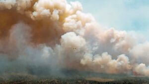 Incêndios no Canadá consumiram mais de 2,7 milhões de hectares este ano