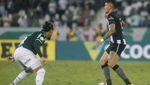 Palmeiras recebe Botafogo no grande jogo da 12ª rodada do Brasileiro