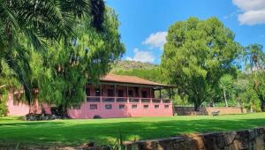 Fazenda foco de surto de febre maculosa apresenta plano para evitar novas infecções