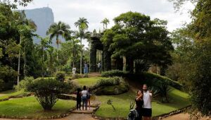 Painel Conserva Flora facilita acesso à flora ameaçada de extinção