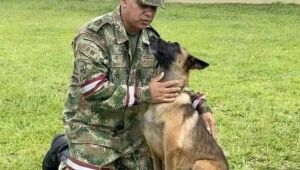 Militares da Colômbia afirmam que só vão parar após encontrarem cão Wilson