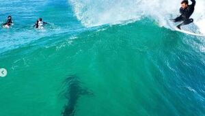 Mesmo com ondas pequenas e tubarões no mar, surfistas vão para água em Jeffreys Bay