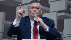 Dino: "STF não vai deixar de decidir porque desagrada tal ou qual agente público ou privado"