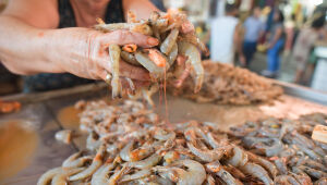 Quais alimentos têm mais microplásticos? Veja lista e como diminuir exposição