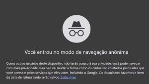 Google vai excluir bilhões de dados da navegação anônima para encerrar processo, diz jornal