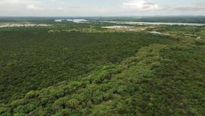 Maioria das cidades tem baixo índice de desenvolvimento sustentável