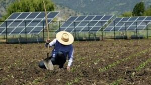 Energia solar no campo ganha força