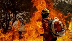 Bombeiros do DF apagam incêndio na nascente do Lago Paranoá
