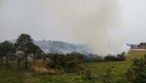 Barroso culpa desmonte de órgãos de proteção ambiental e seca sem precedentes por queimadas