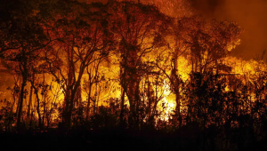 CNA estima prejuízo de R$ 14,7 bilhões à agropecuária por incêndios entre junho e agosto