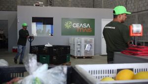 CeasaMais: e-commerce de hortfruti inédito inicia operações nesta terça (17)