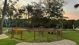 Parque do Paiva inaugura espaço pet e promove feira de adoção neste domingo (15)