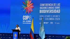 COP16 conseguiu elevar biodiversidade ao nível de "importância" da crise climática