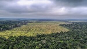 Amazônia: governo federal destinará R$ 700 mi para combater desmatamento e recuperar áreas