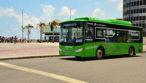 Linha de ônibus com destino a pontos turísticos do Recife e de Olinda será ativada nesta quinta (31)