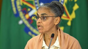 COP29: Marina Silva diz que "presentes de Deus" energéticos devem ser consumidos com moderação