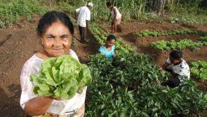 Pernambuco Agroecológico beneficiará 13 mil famílias rurais