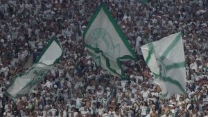 Chances de título do Palmeiras no Brasileirão disparam após assumir liderança