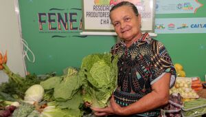 Agricultura familiar de Pernambuco otimiza sua engrenagem e demonstra seu potencial produtivo 