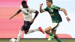 Quais as chances de Botafogo e Palmeiras serem campeões do Brasileirão? Veja probabilidades