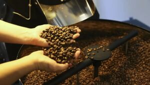 Brasil exporta 46 milhões de sacas de café, atingindo recorde em 2024