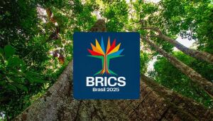 Brics têm mais de 40% da população e 37% do PIB mundiais