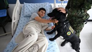 Cães terapeutas ajudam soldados feridos em hospital da Colômbia.