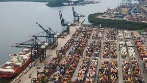 Brasil abre mercado do Marrocos, Iraque e Cingapura para feno e da Argentina a bulbos de cebola