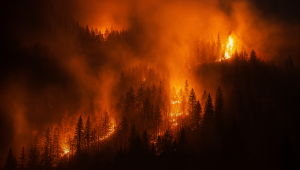 O alerta que vem da Europa e o desafio do Brasil diante da crise climática.