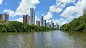 Bora dar um giro pela Madalena?.