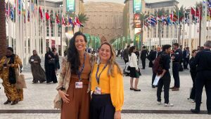 Um mês para a COP30: vamos começar a falar sobre ela?.