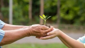 Confira lições da COP 30 para abordar meio ambiente na sala de aula em 2026.