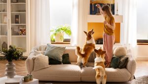 Pets e Condomínio: É possível uma convivência totalmente harmônica?.